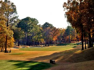 Shoal Creek 12th